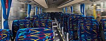 Hire a Transfer Bus from Texas Coachlines Christchurch for an awesome time!