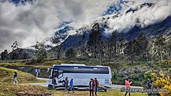 Hire a bus for wine trail or trip.